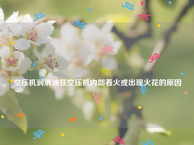 
空压机润滑油在空压机内部着火或出现火花的原因