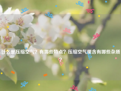 
什么是压缩空气？有哪些特点？压缩空气里含有哪些杂质？