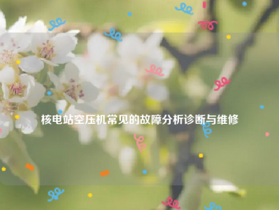 
核电站空压机常见的故障分析诊断与维修