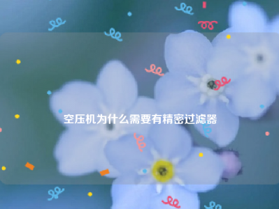 
空压机为什么需要有精密过滤器