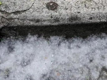 
高能预警！杨柳絮纷飞，请做好空压机防范和清理