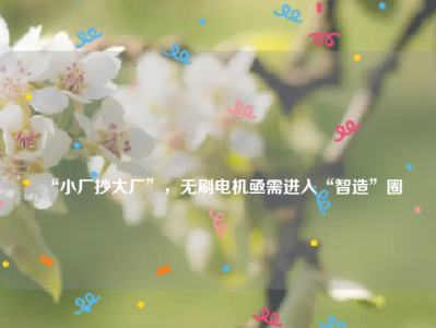 
“小厂抄大厂”，无刷电机亟需进入“智造”圈