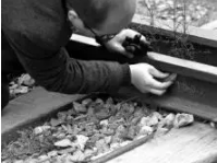 
什么叫质量？清代钢轨，110年前制造仍在使用！专家：每一根都是文物