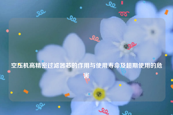 
空压机高精密过滤器芯的作用与使用寿命及超期使用的危害