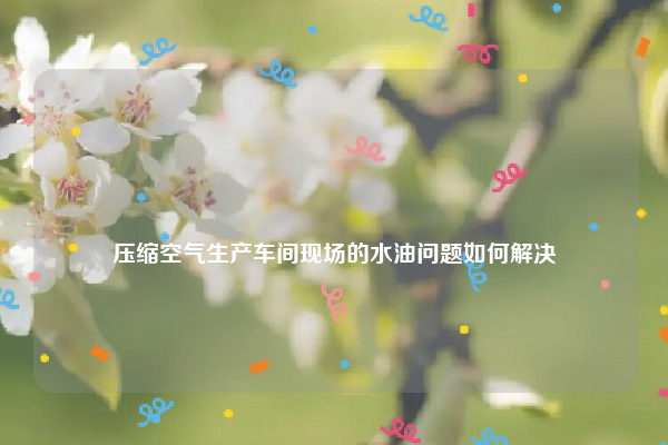 
压缩空气生产车间现场的水油问题如何解决