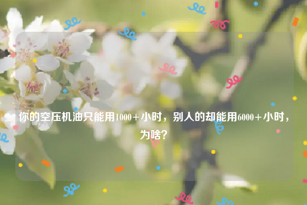 
你的空压机油只能用1000+小时，别人的却能用6000+小时，为啥？