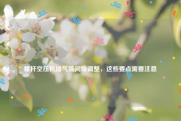 
螺杆空压机排气端间隙调整，这些要点需要注意