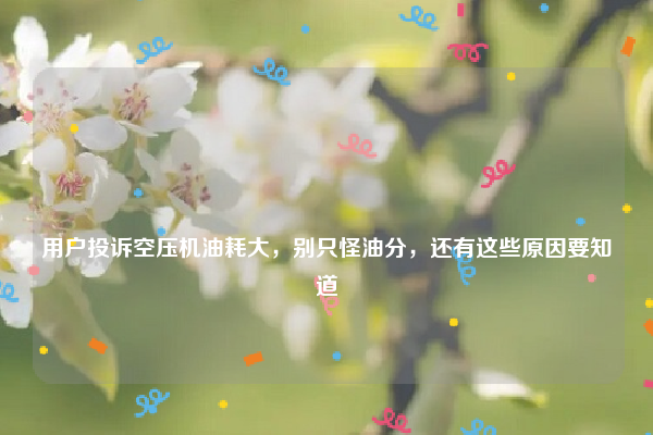 
用户投诉空压机油耗大，别只怪油分，还有这些原因要知道