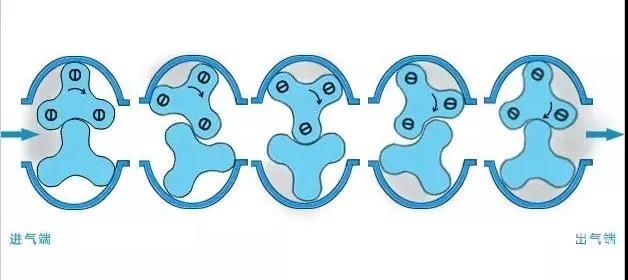 罗茨风机结构及工作原理解剖图！