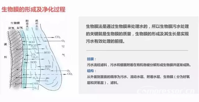 一文搞懂国内6大主流污水处理工艺！就知道空压机的用途了