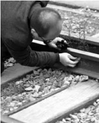 什么叫质量？清代钢轨，110年前制造仍在使用！专家：每一根都是文物