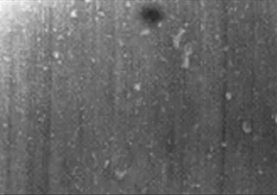 轴承“压力过大”，也会“变形抑郁”