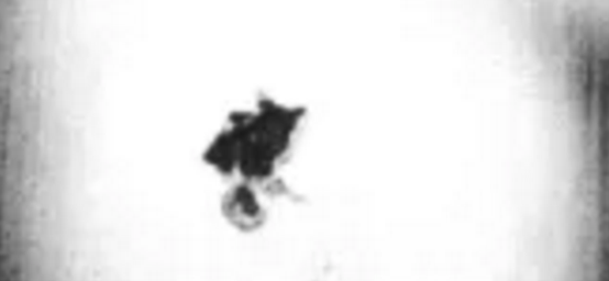 轴承“压力过大”，也会“变形抑郁”