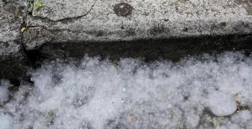 高能预警！杨柳絮纷飞，请做好空压机防范和清理